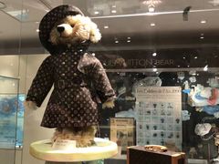 -济州岛泰迪熊博物馆