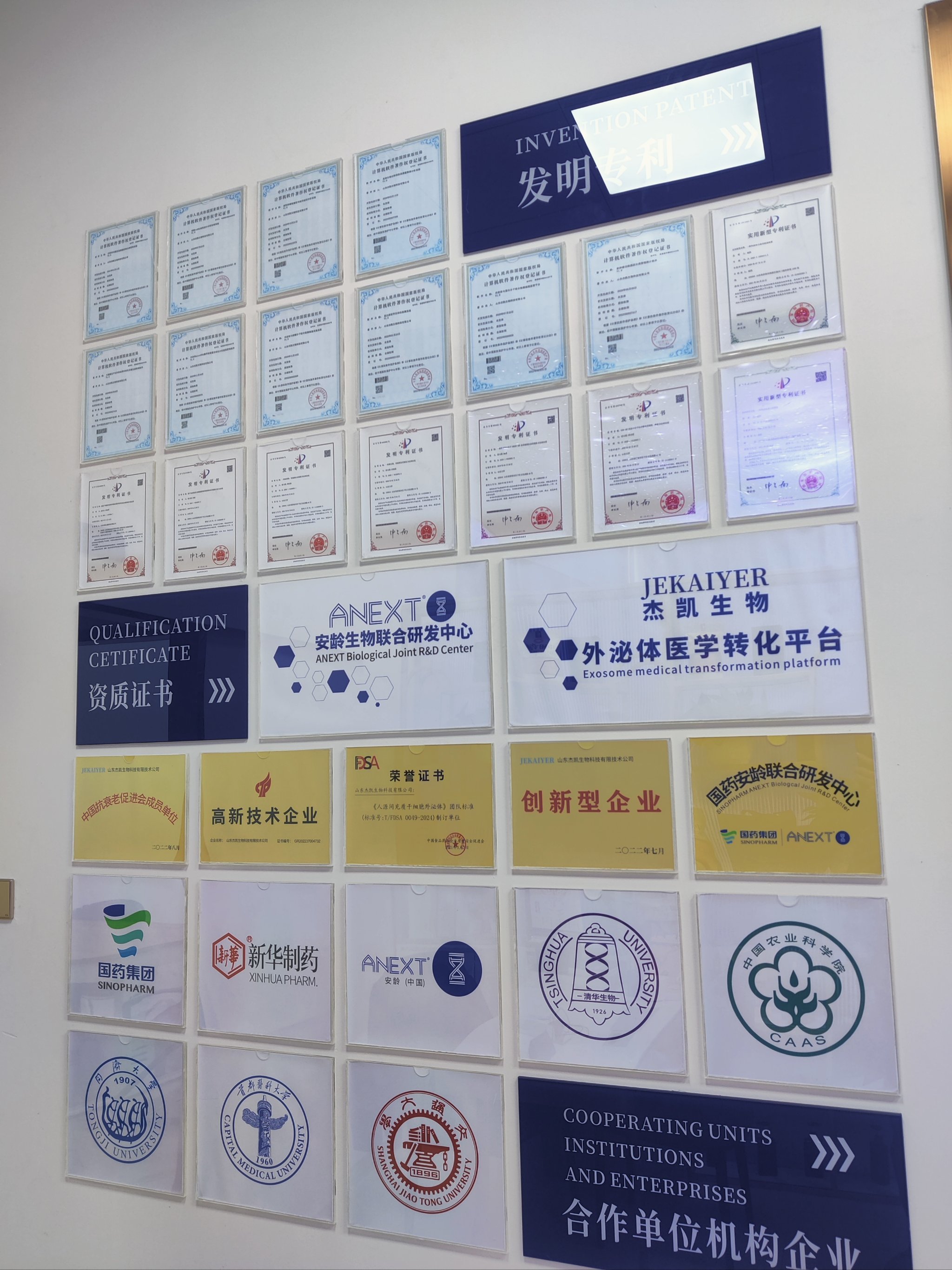 头皮干净,心情好