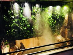 -甲大帅·甲鱼·椰子鸡主题餐厅(唐家店)