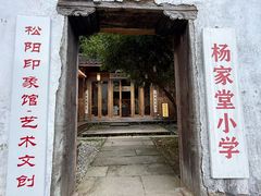-杨家堂村