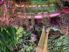 -正佳雨林生态植物园