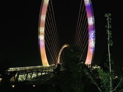 -南京眼步行桥
