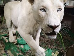 -陕西自然博物馆