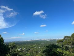 -海口火山口国家地质公园