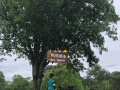 -Club Med地中海俱乐部·桂林度假村