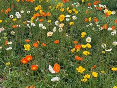 -名花谷生态庄园