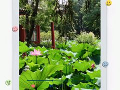 -莲池书院博物馆