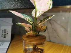 -斗牛士牛排(南京东路店)
