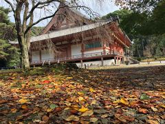 -醍醐寺