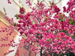 -月牙潭公园