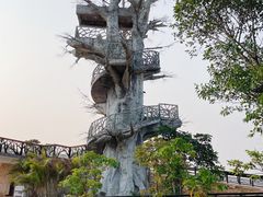 -芒洲湿地公园