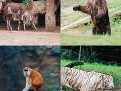 -杭州野生动物世界