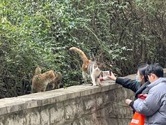 -文昌阁