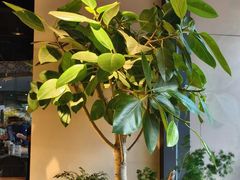 -茄子恰恰·新云南小炒(钱王街店)