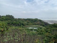 -广州莲花山旅游区