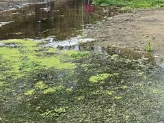 -白水寺森林公园