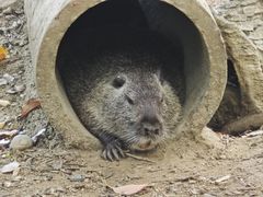 -常州淹城野生动物世界