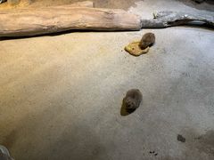 -苏州海洋馆
