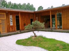 -午后庭院