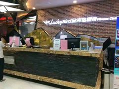 -金吉鸟健身游泳