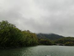 -杭州半山国家森林公园