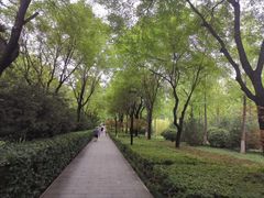 -唐城墙遗址公园