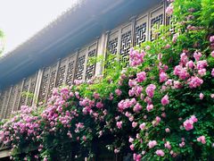 -老门东历史文化街区