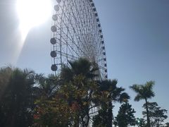 -凤岭儿童公园