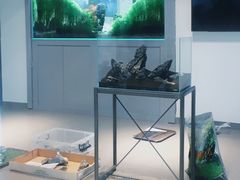 -ADA自然水景世界