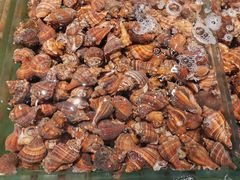 -连鹭海鲜·海肠捞饭·海胆饭(星海店)