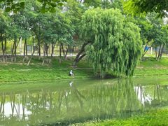 -东坝千亩湖公园