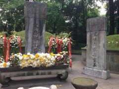 -西湖游船