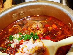 天才脑花-钢管厂五区小郡肝火锅串串香(清河店)