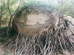 -白水寺森林公园