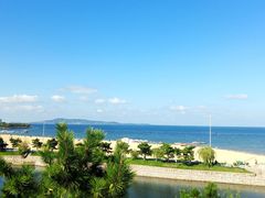 -莫内艺术岛海景咖啡