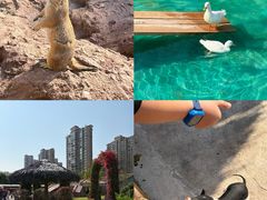 -福州罗源湾海洋世界旅游区