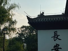 -莲湖公园