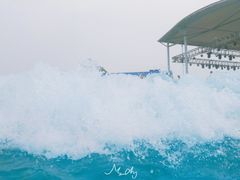 -海盗传奇水世界