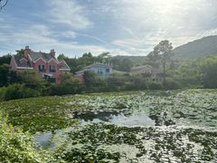 -茅山肴·道家菜·神仙鸡