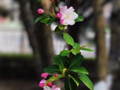 -天鹅湖大酒店