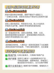 点击看大图 -玛莲朵·海菲秀冰珀科