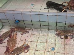 -小城故事·地道宁波味(月湖盛园店)