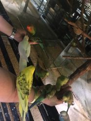 -酷嗒动物文化乐园(cutezoo西溪乐天城店)