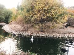 -长白岛森林公园
