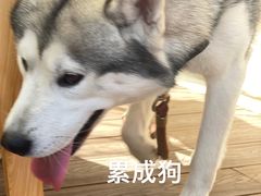 -海底捞火锅(漕宝路店)