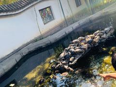-红螺寺