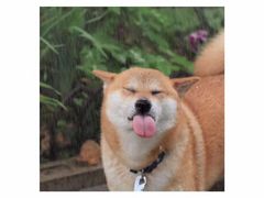 -星巴克(苏州泰华店)