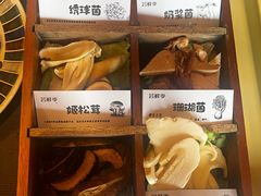 -芸鲜季·云南野生菌餐厅· 云南风物味研社(闵行店)