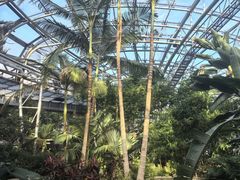 -北京植物园-展览温室