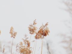 -渭河城市绿地运动公园